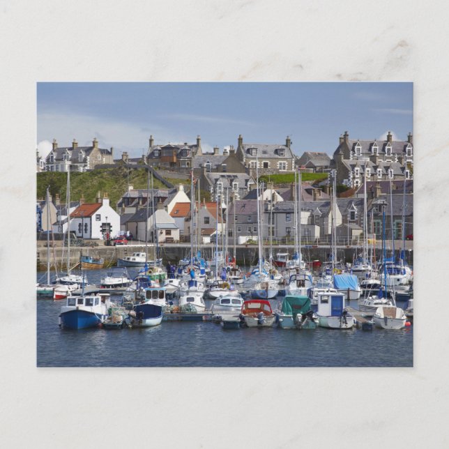 Postal Marina, Findochty, Moray, Escocia, United (Anverso)