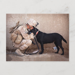 Postal Marine y su perro