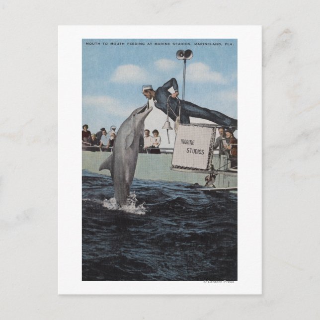 Postal Marineland, Florida - Sailor Mouthfed (Anverso)