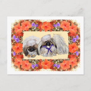 Postal Marineros de Pekín