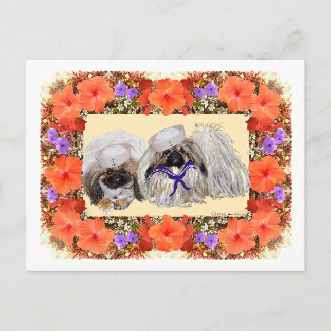 Postal Marineros de Pekín (Anverso)