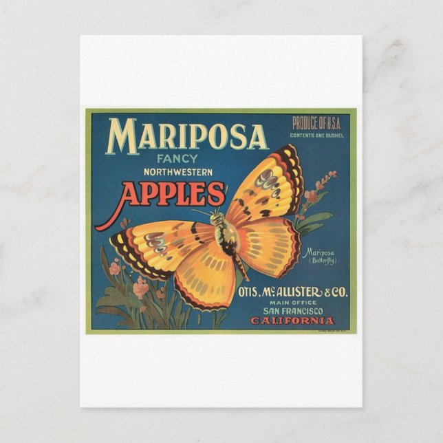 Postal Mariposa (Anverso)
