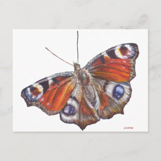 Postal Mariposa