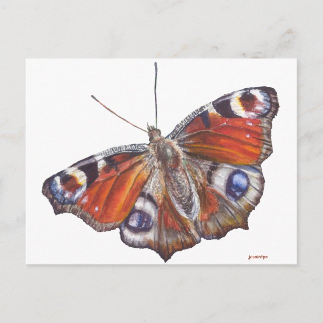 Postal Mariposa (Anverso)
