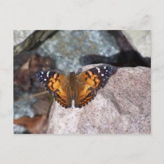 Postal Mariposa
