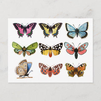 Postal Mariposa.