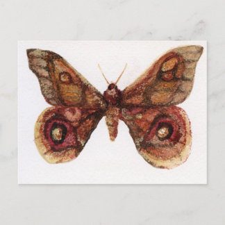 Postal Mariposa