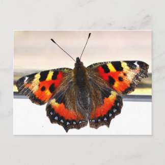 Postal Mariposa.