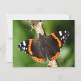 Postal Mariposa