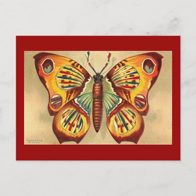 Postal Mariposa (Anverso)