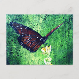 Postal Mariposa