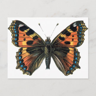 Postal Mariposa 01