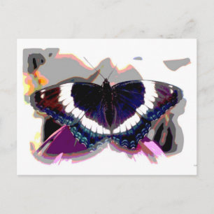 Postal Mariposa 1 Resumen de fotografía de arte