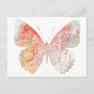 Postal Mariposa acuática 2