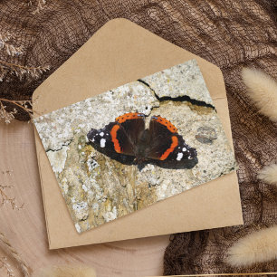 Postal Mariposa - Almirante Rojo