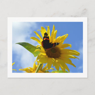 Postal Mariposa amarillo girasol y almirante rojo