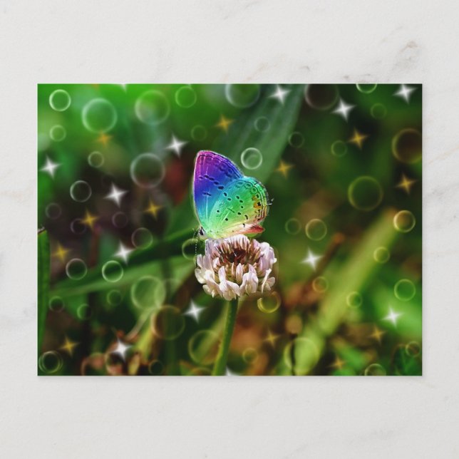 Postal Mariposa arcoiris (Anverso)