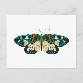 Postal Mariposa art nouveau
