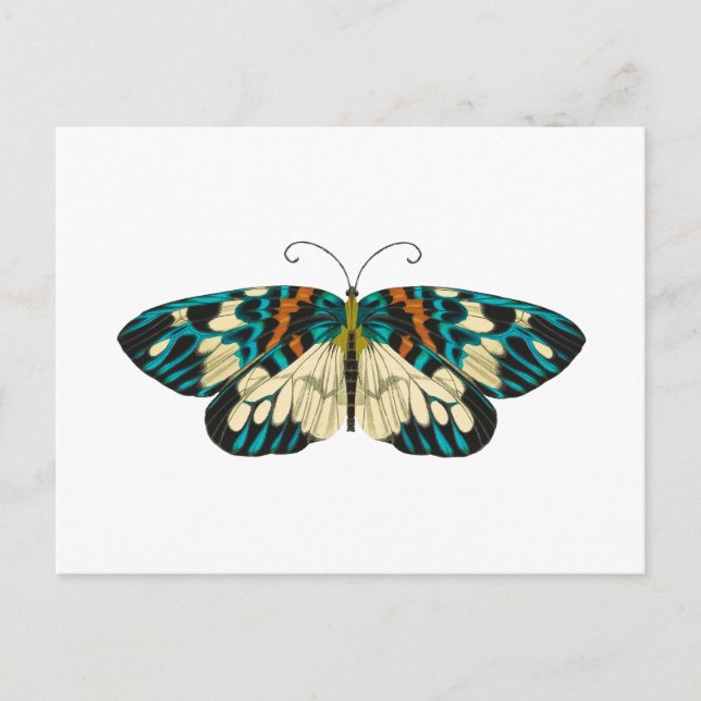 Postal Mariposa art nouveau (Anverso)