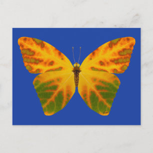 Postal Mariposa Aspen Leaf 1