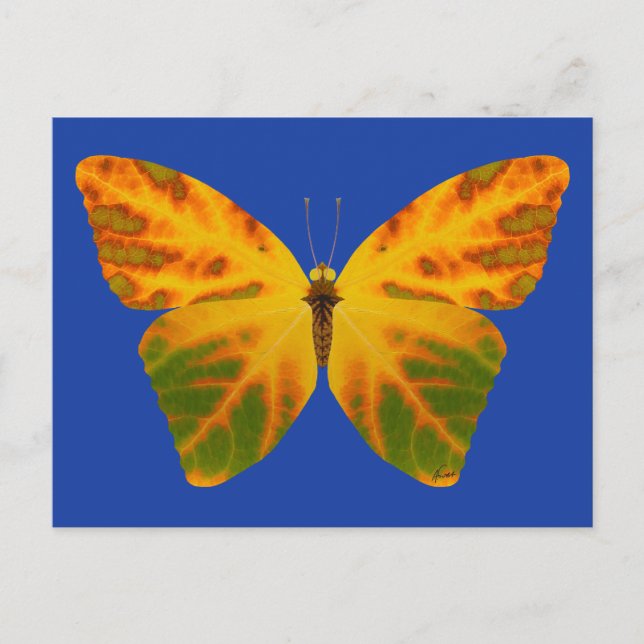 Postal Mariposa Aspen Leaf 1 (Anverso)