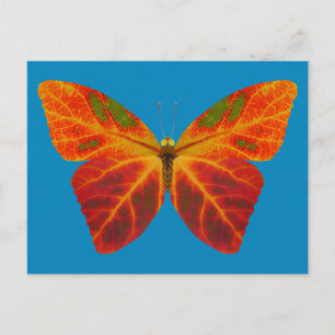 Postal Mariposa Aspen Leaf 2