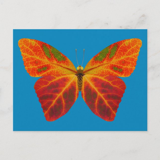 Postal Mariposa Aspen Leaf 2 (Anverso)