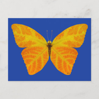 Postal Mariposa Aspen Leaf 3