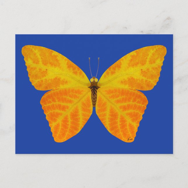 Postal Mariposa Aspen Leaf 3 (Anverso)