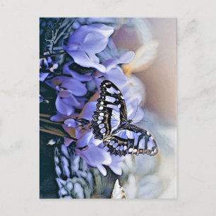 Postal Mariposa azul