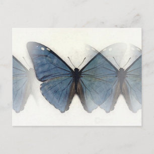 Postal Mariposa azul