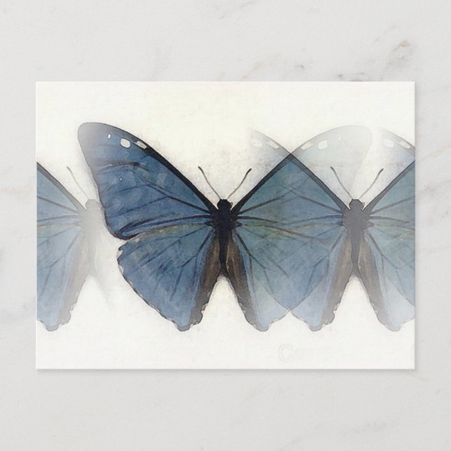Postal Mariposa azul (Anverso)