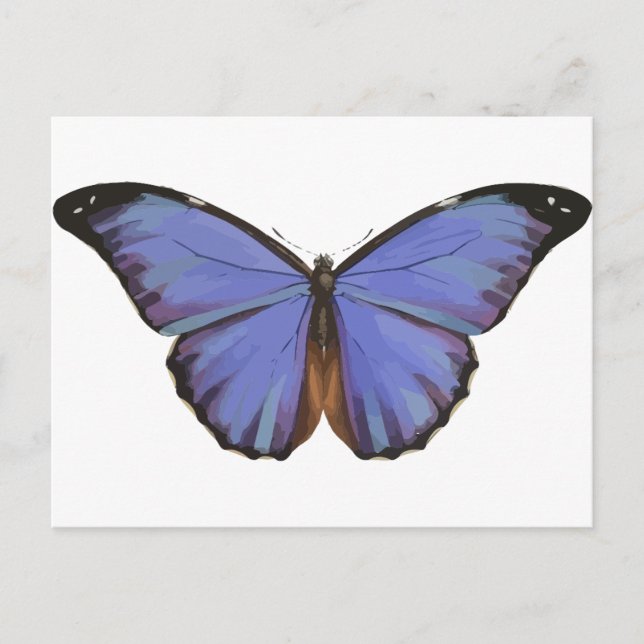 Postal Mariposa azul (Anverso)
