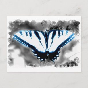 Postal Mariposa azul de choque