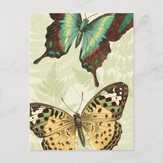 Postal Mariposa azul y amarilla (Anverso)