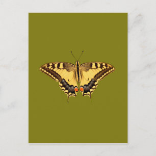 Postal Mariposa bailarina
