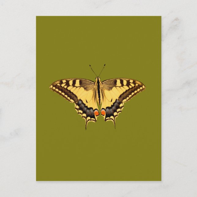 Postal Mariposa bailarina (Anverso)