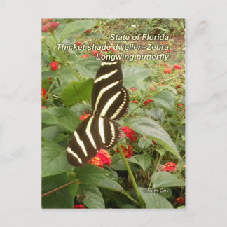 Postal Mariposa cebra de Florida