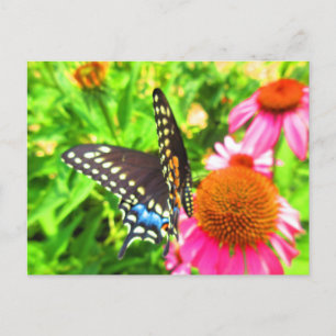 Postal Mariposa cola de golondrina negra con flores de eq