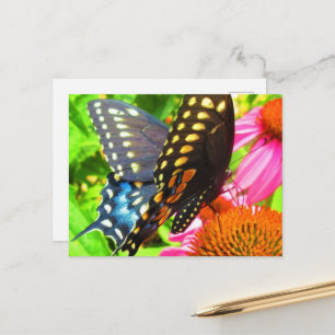 Postal Mariposa cola de golondrina negra con flores de eq
