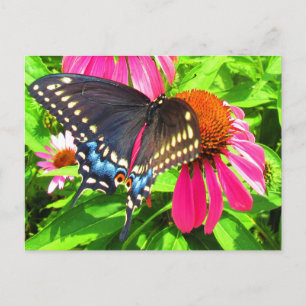 Postal Mariposa cola de golondrina negra con flores de eq