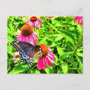 Postal Mariposa cola de golondrina negra con flores de eq