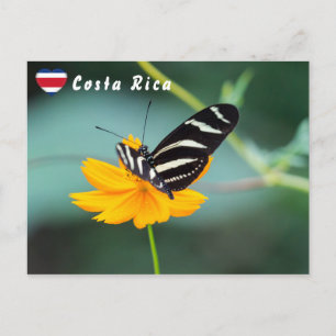 Postal Mariposa de alas largas cebra - Costa Rica
