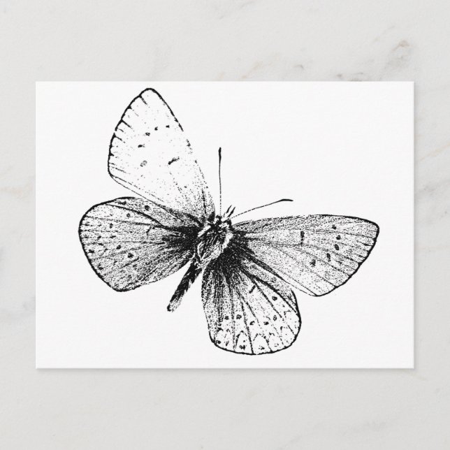 Postal Mariposa de arte pop (Anverso)