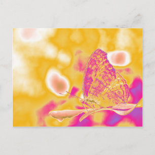 Postal Mariposa de arte pop en hoja