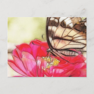 Postal Mariposa de cola cruda amarilla en una zinnia
