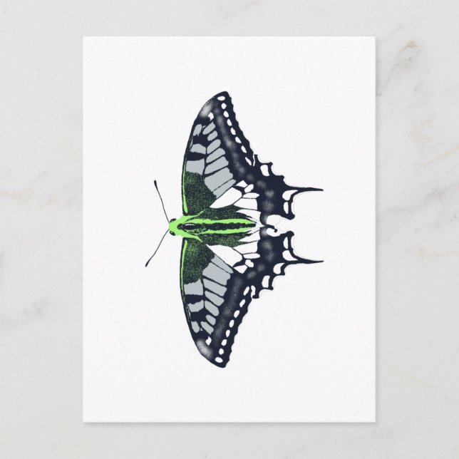 Postal Mariposa de cola de cerda con bandera de género (Anverso)