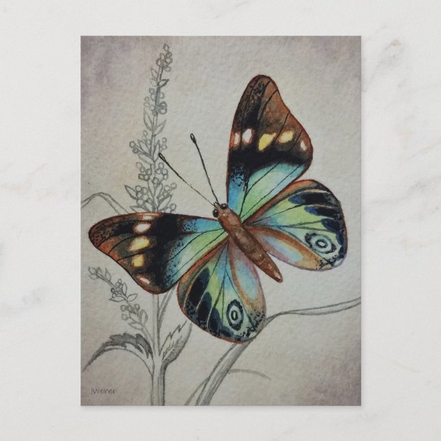 Postal Mariposa de época No. 1 Arte acuarela (Anverso)