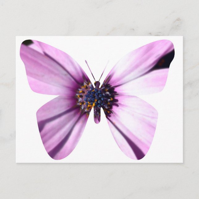 Postal Mariposa de flores (Anverso)