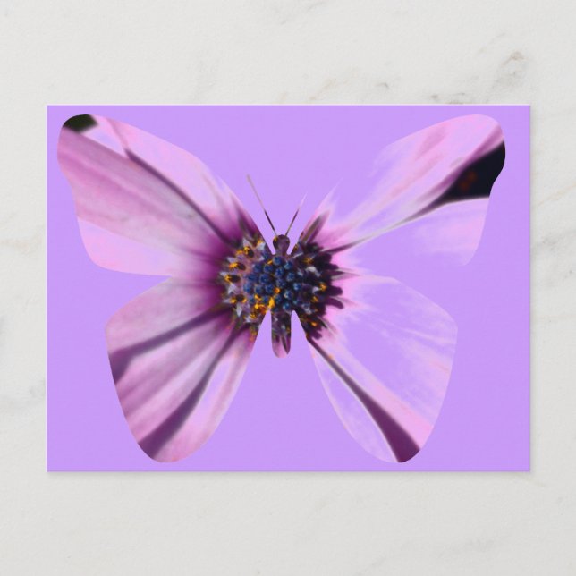 Postal Mariposa de flores (Anverso)